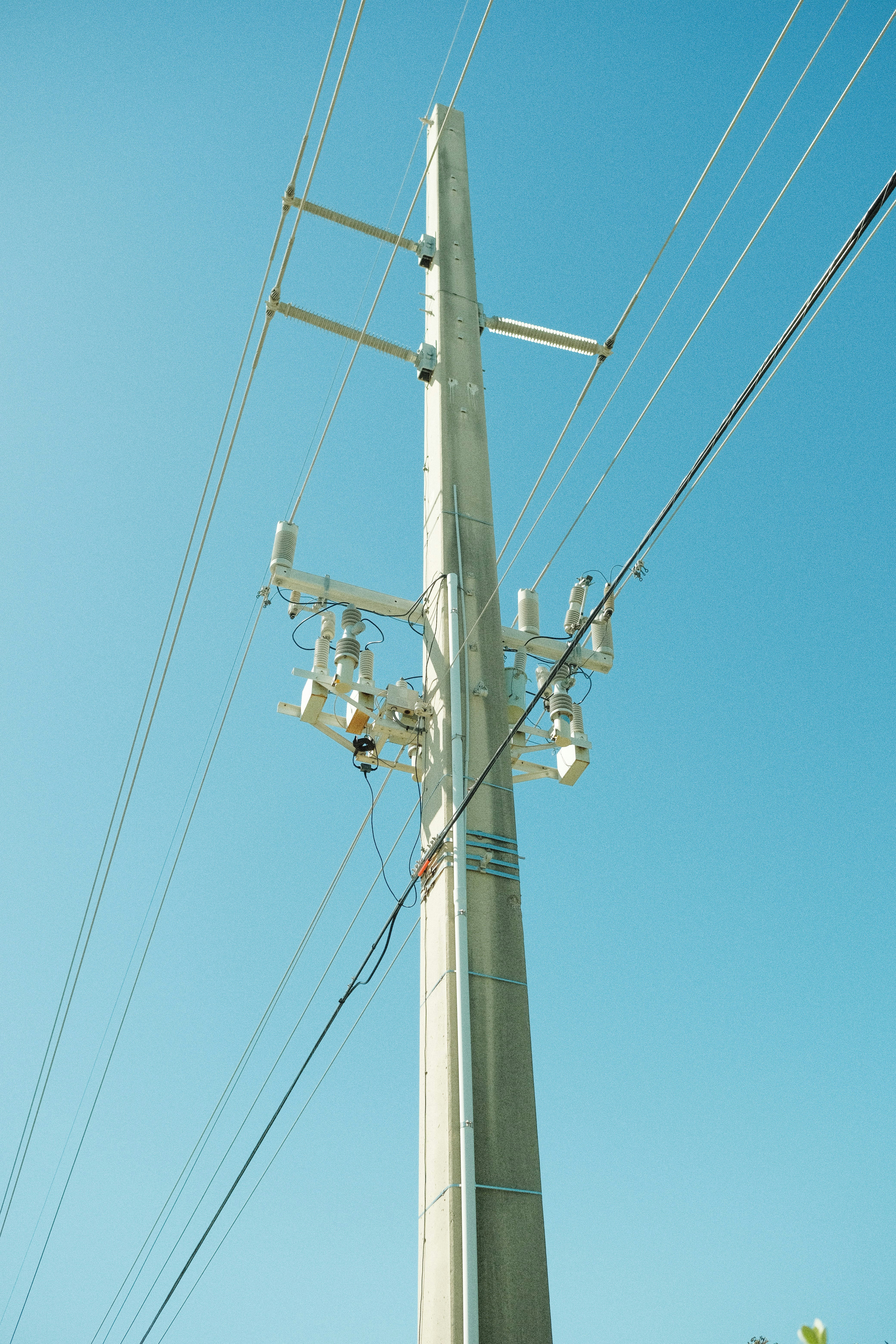 Photo by ashleyamosowen