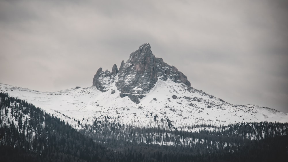 a mountain covered in snow and surrounded by trees