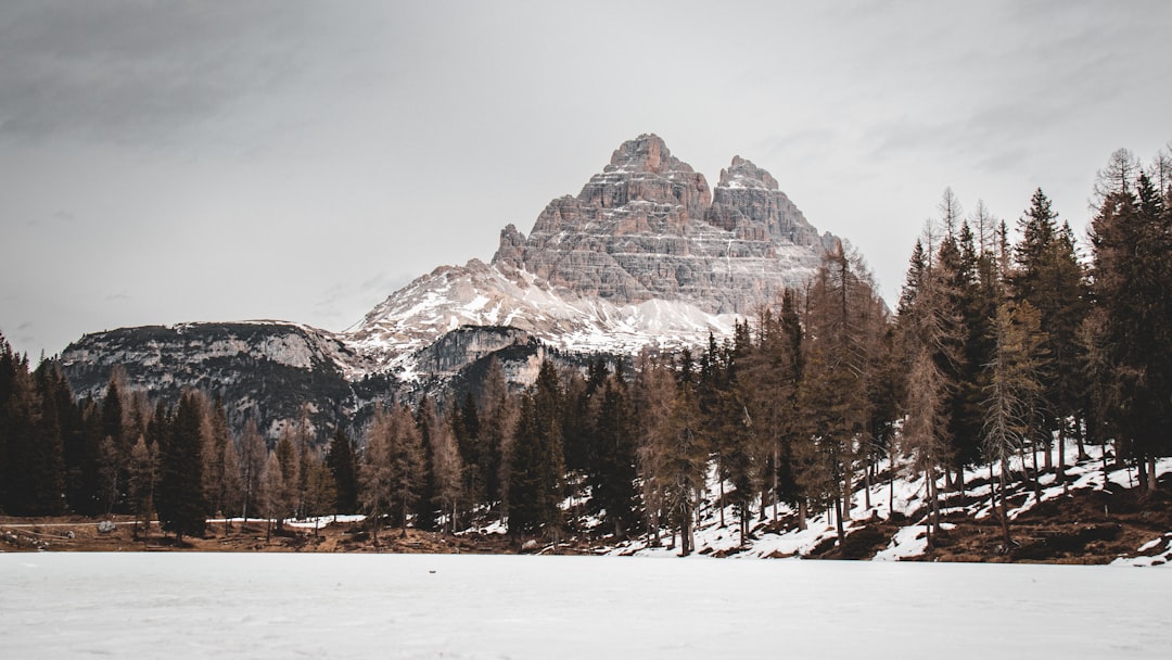 a snow covered field with a mountain in the background,