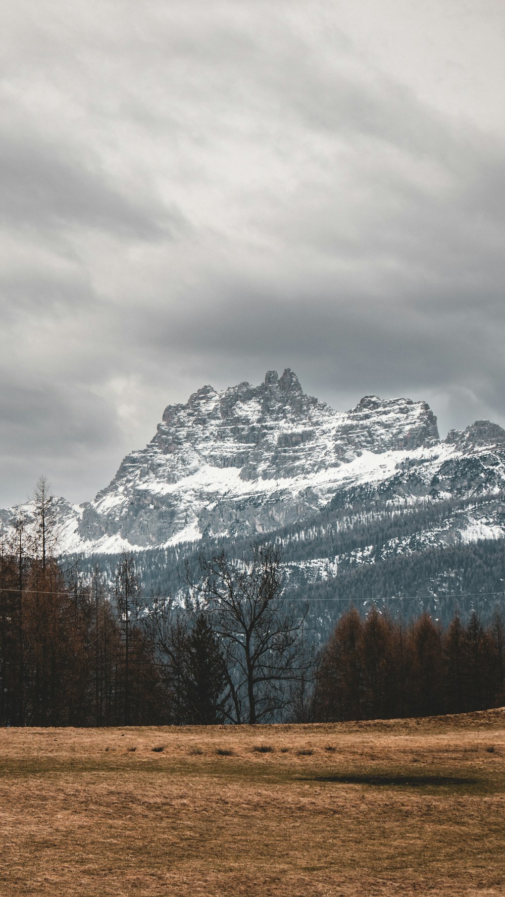 a horse standing in a field with a mountain in the background