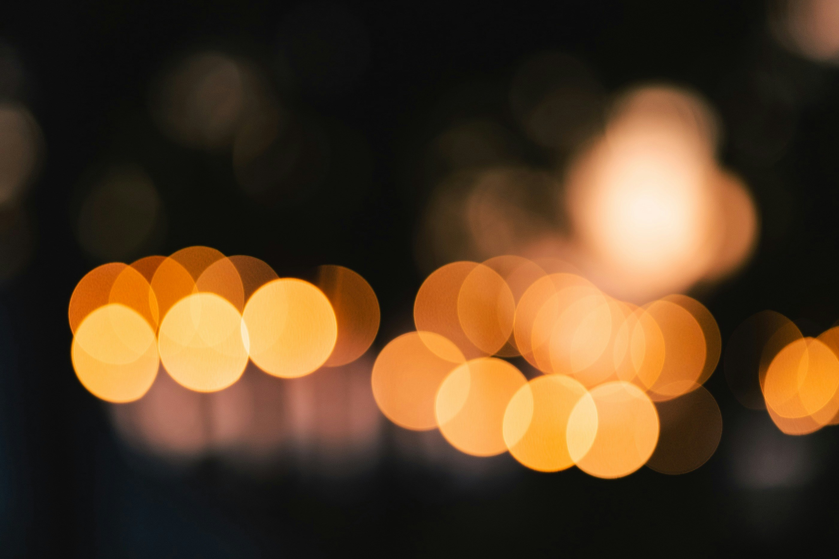 Photo by petitesimages