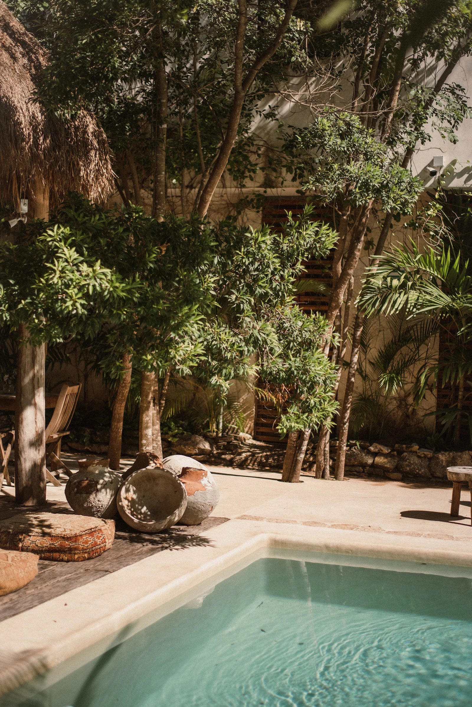 The pool at Tsoko House, shaded by garden trees