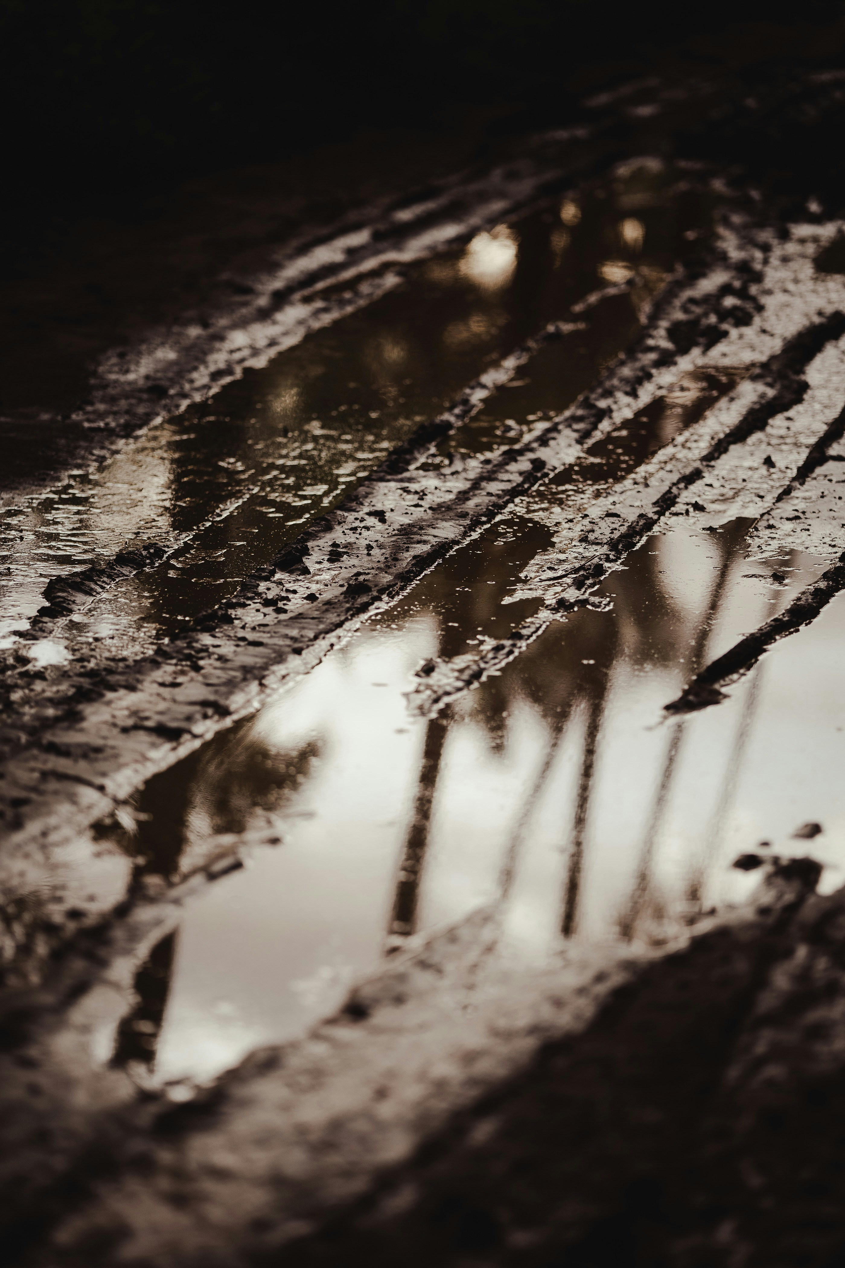 Photo by petitesimages