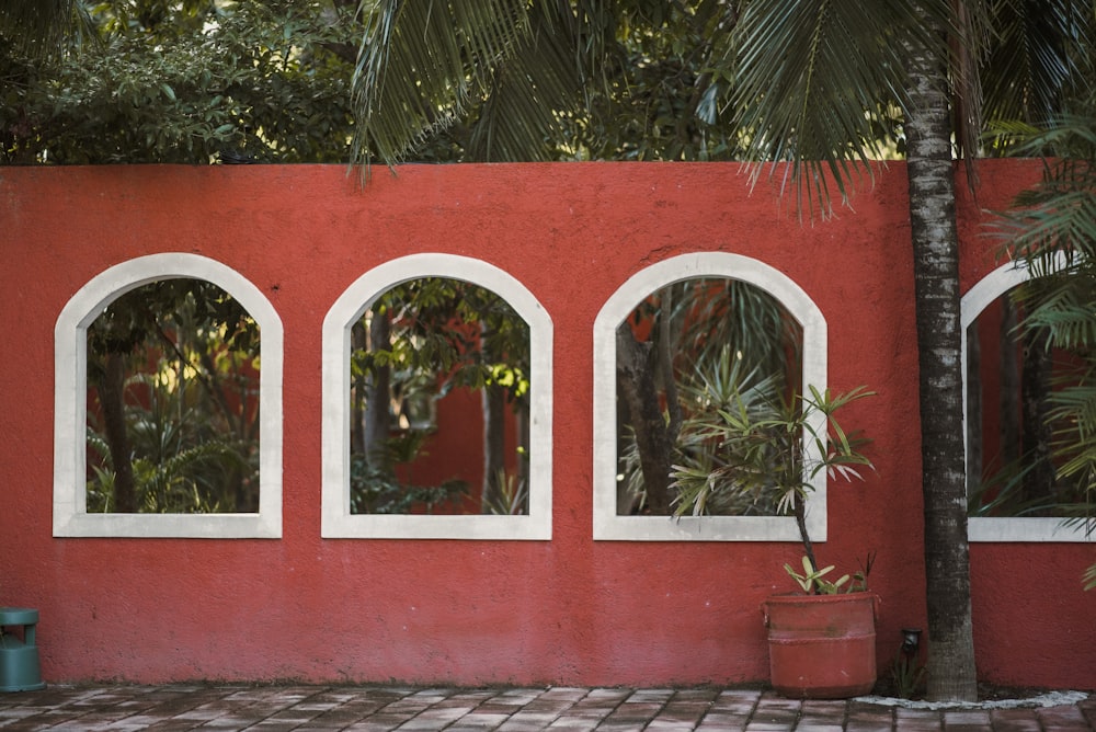 una pared roja con cuatro ventanas arqueadas y una planta en maceta