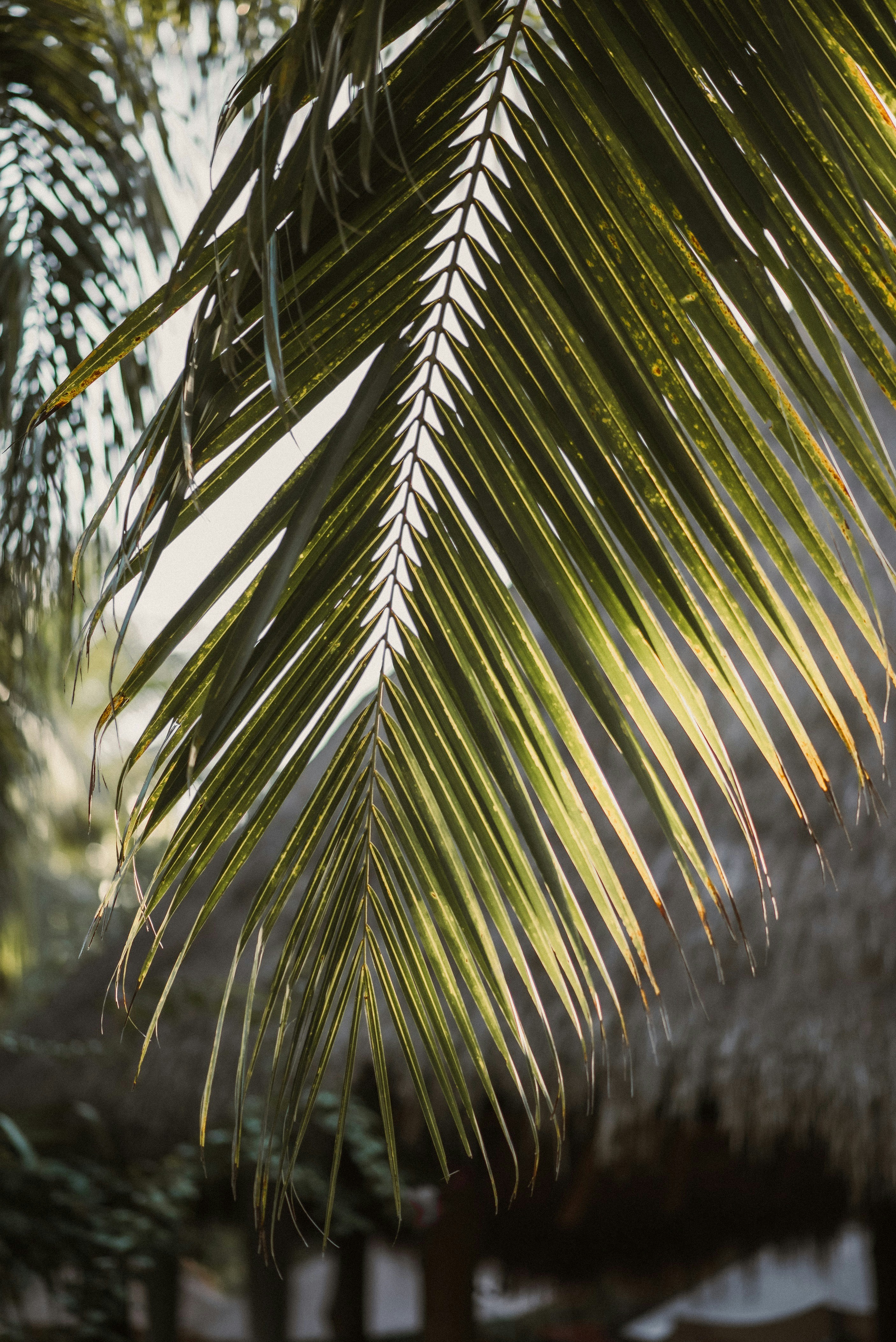 Photo by petitesimages