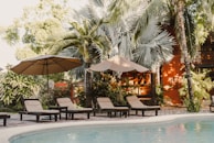 A serene swimming pool area surrounded by palm trees and elegant outdoor seating.