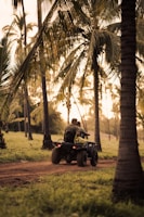 A group of friends riding buggies through the lush palm groves at sunset.