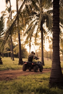 A couple is riding on an ATV through a lush tropical setting filled with tall palm trees. The setting sun casts a warm glow over the scene, highlighting the greenery and creating a tranquil ambiance.