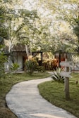 Pathway through the peaceful garden leading to the chalets.