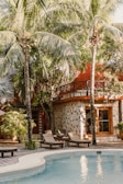 A tropical outdoor setting featuring a swimming pool surrounded by tall palm trees and lush greenery. A rustic building with stone walls and a wooden balcony is visible in the background. Several lounge chairs are arranged poolside, creating a tranquil and inviting atmosphere.
