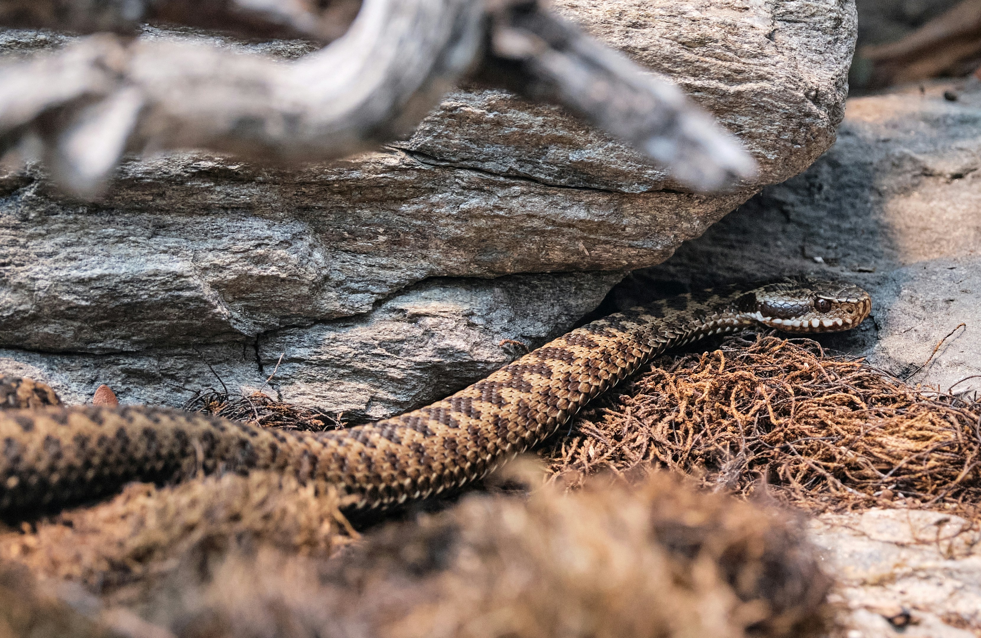 Photo by marcus_ganahl