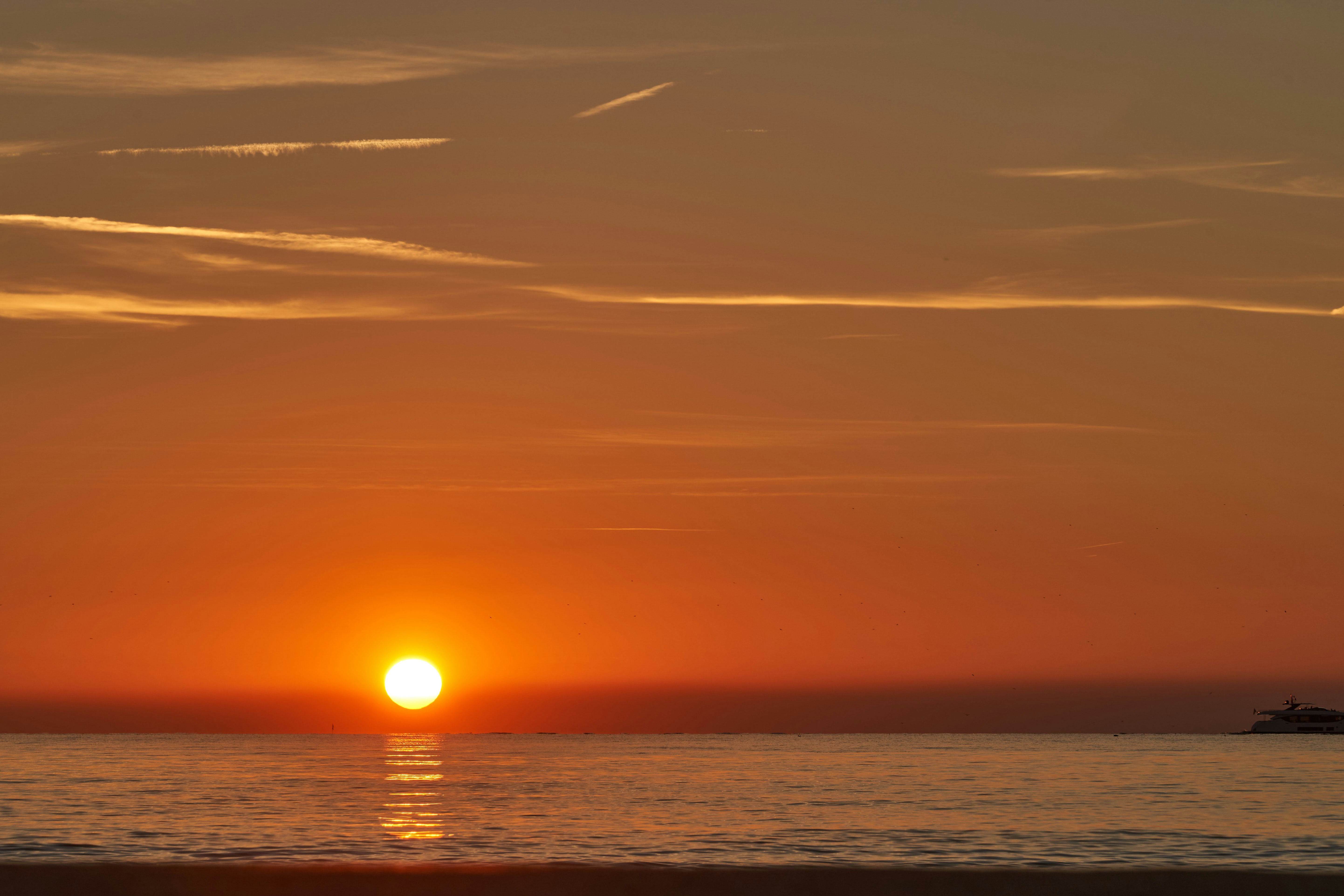 Photo by wolfgang_hasselmann