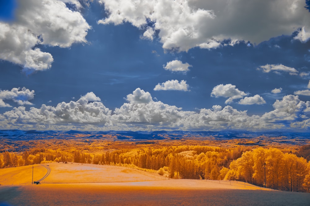 a scenic view of a field with trees and clouds