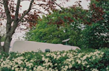A bright, modern static caravan with a wooden deck surrounded by lush greenery at Stanhope Burn Park.