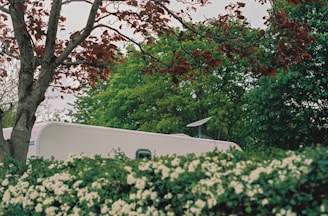 A white caravan is partially obscured by lush green trees and a hedge with white flowers. The red leaves of a nearby tree add contrast to the greenery. A satellite dish is mounted on the roof of the caravan.