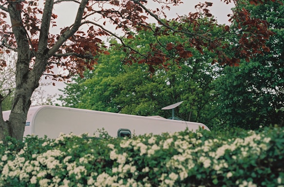 A white caravan is partially obscured by lush green trees and a hedge with white flowers. The red leaves of a nearby tree add contrast to the greenery. A satellite dish is mounted on the roof of the caravan.