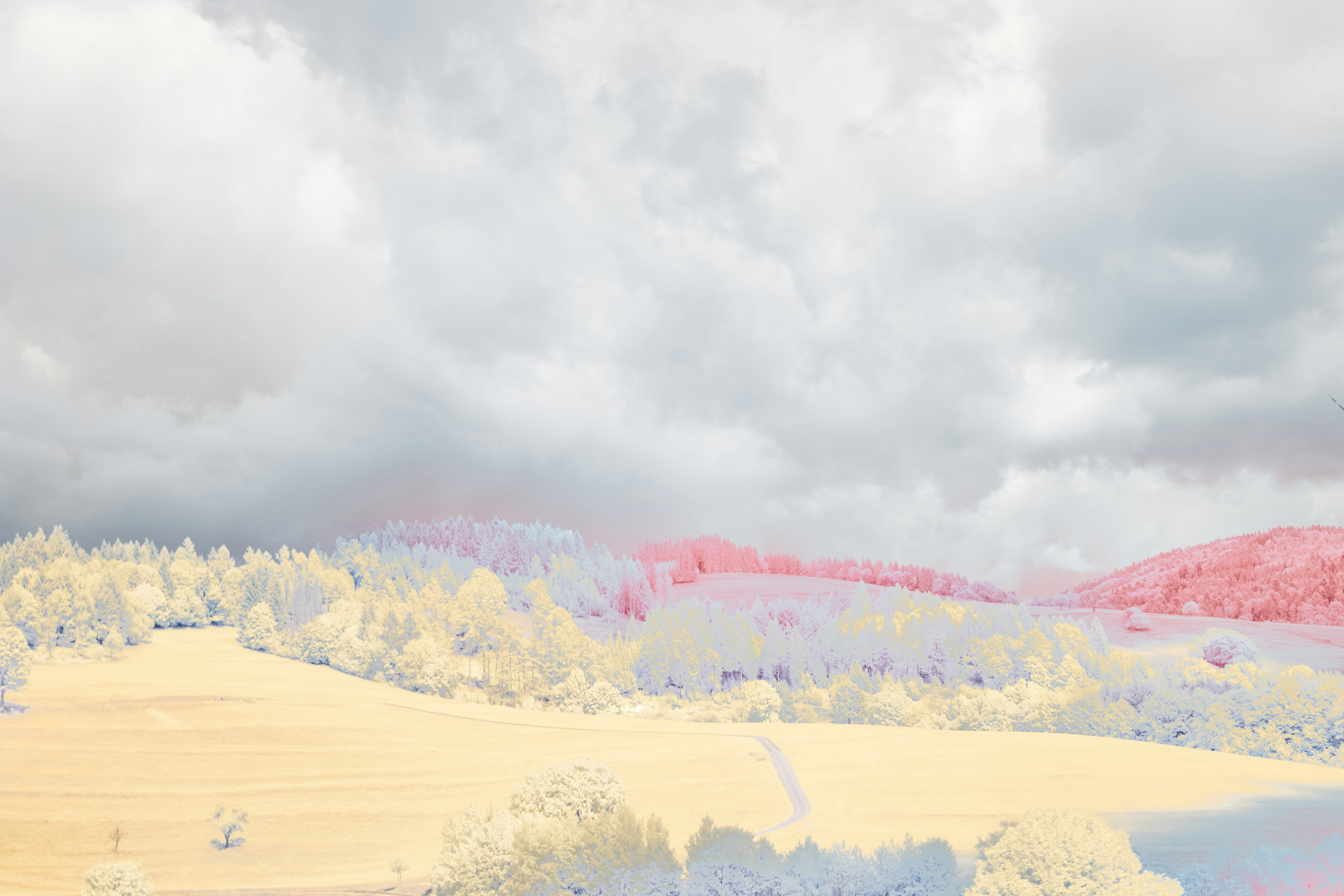 Photo by wolfgang_hasselmann