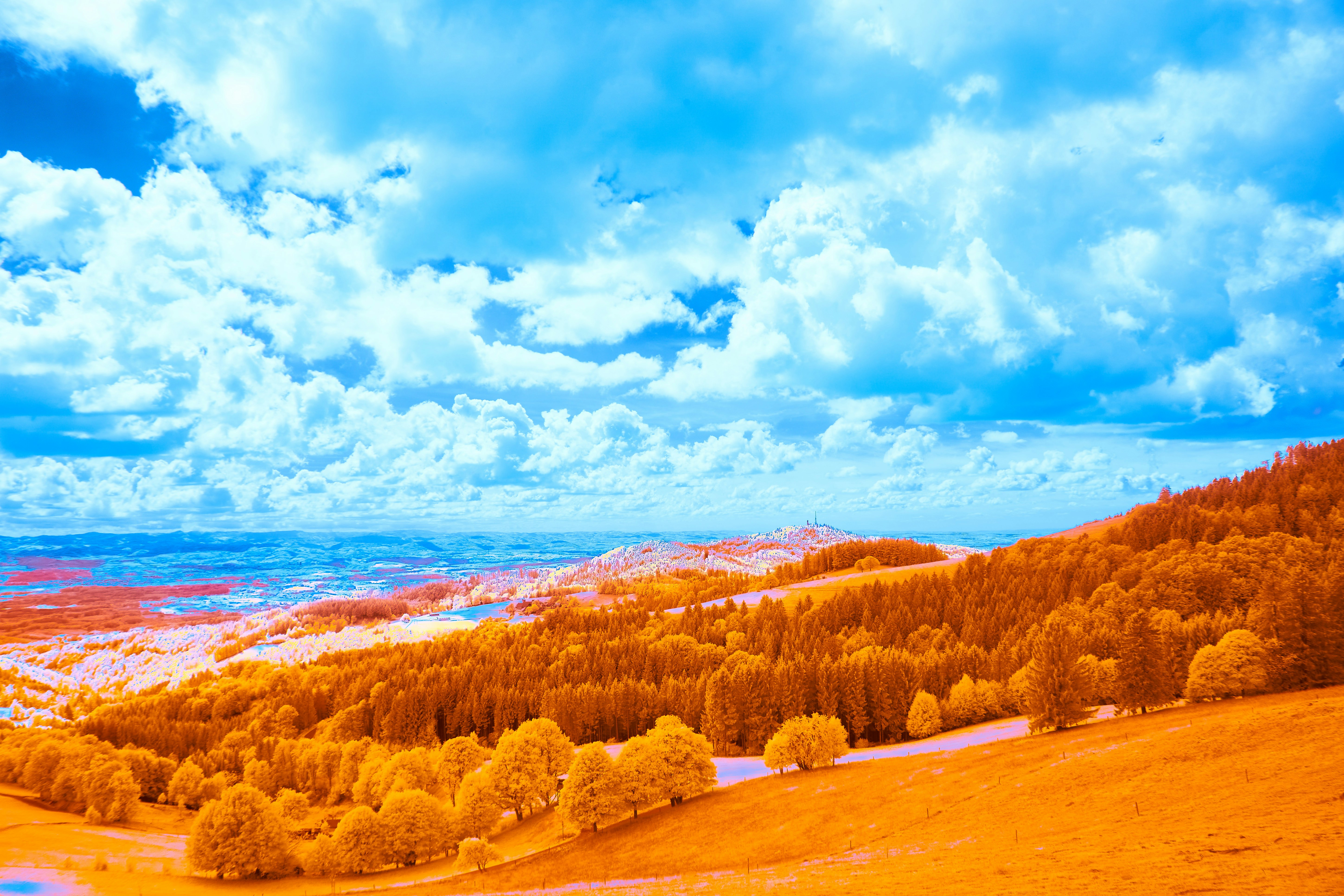 Photo by wolfgang_hasselmann