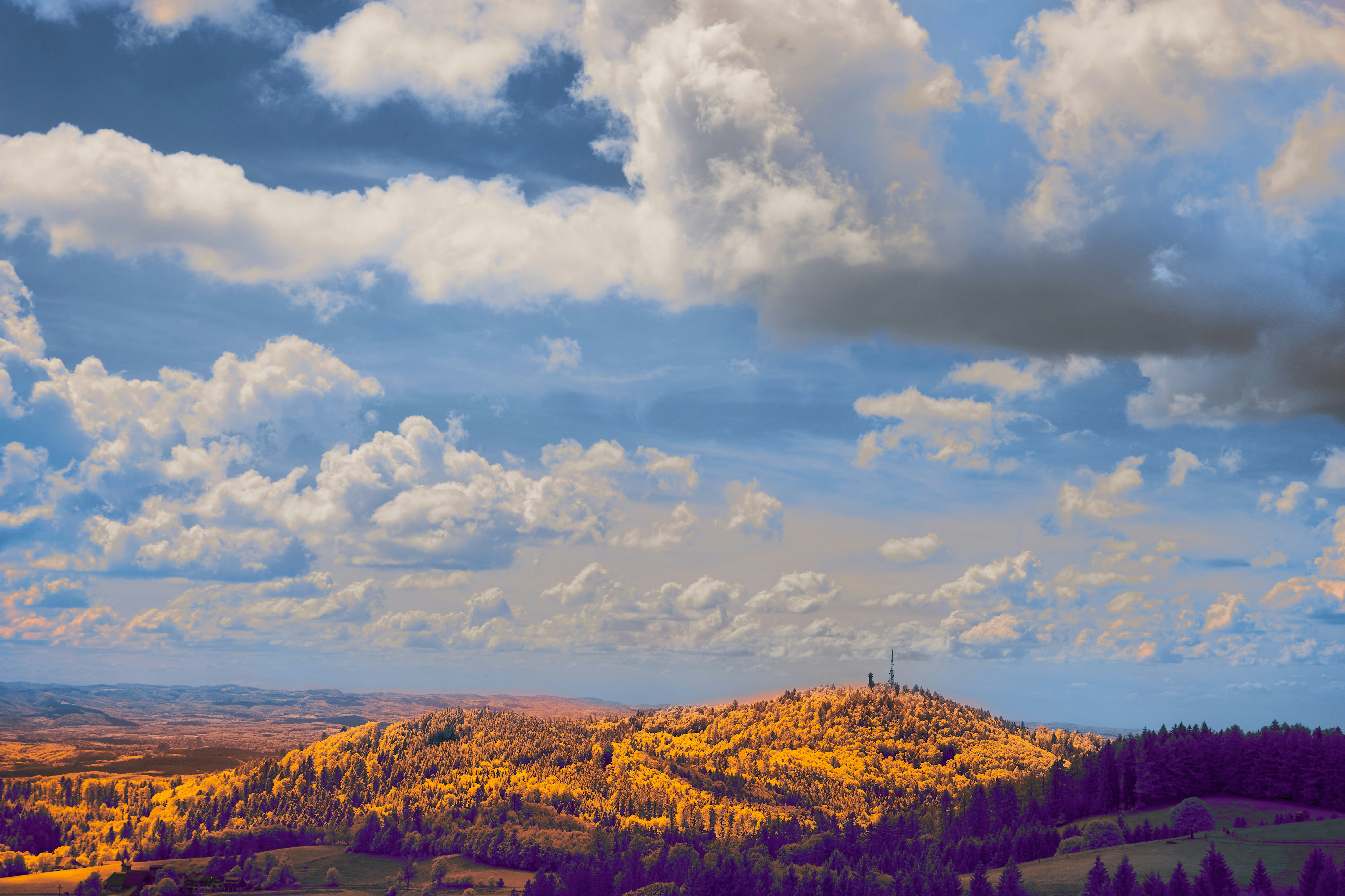 Photo by wolfgang_hasselmann