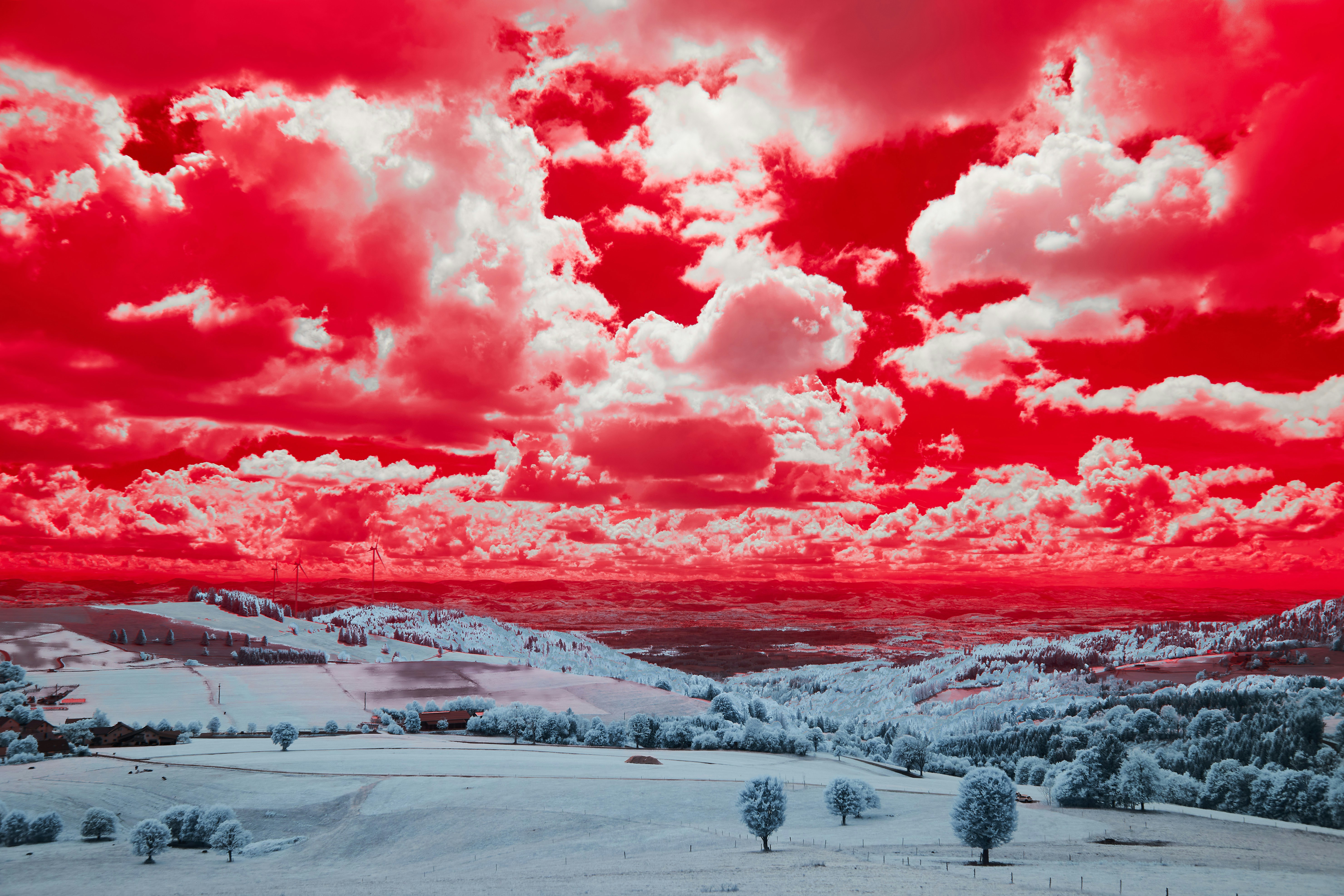 Photo by wolfgang_hasselmann