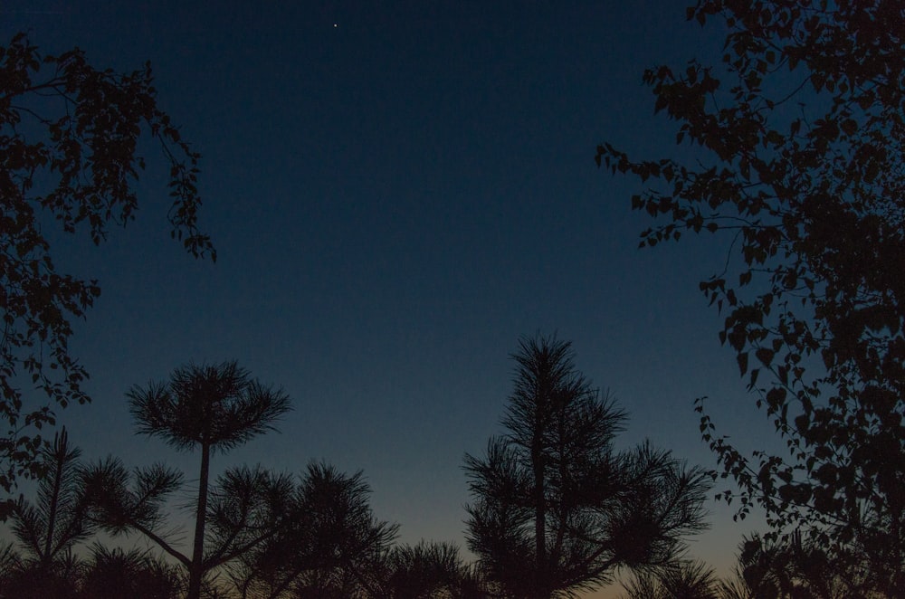 a night sky with the moon in the distance