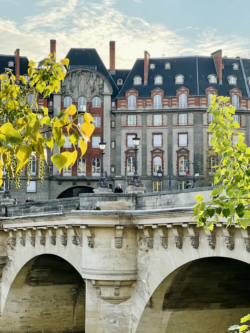 Pont Neuf sur la Seine, Paris