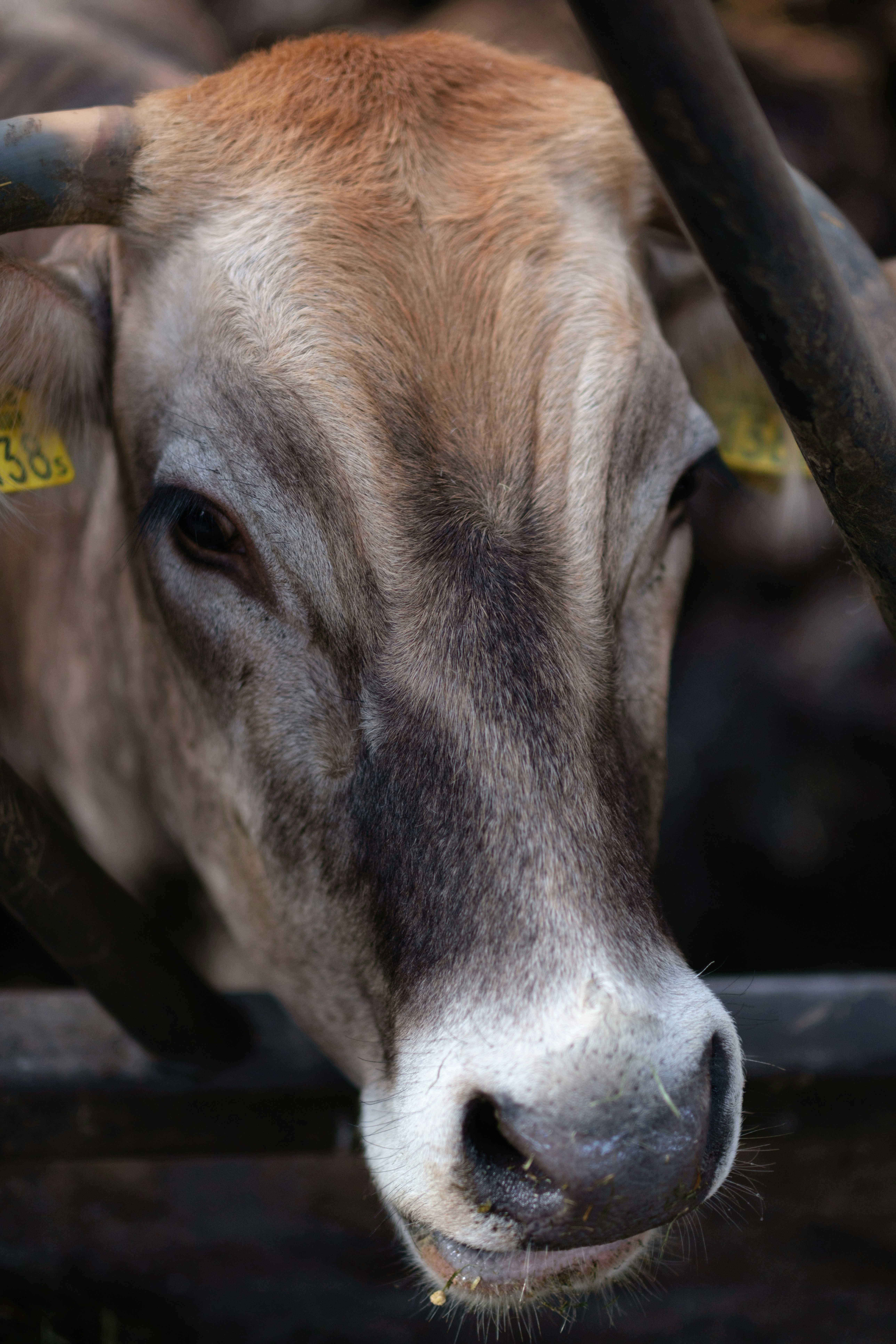 Photo by haberdoedas2