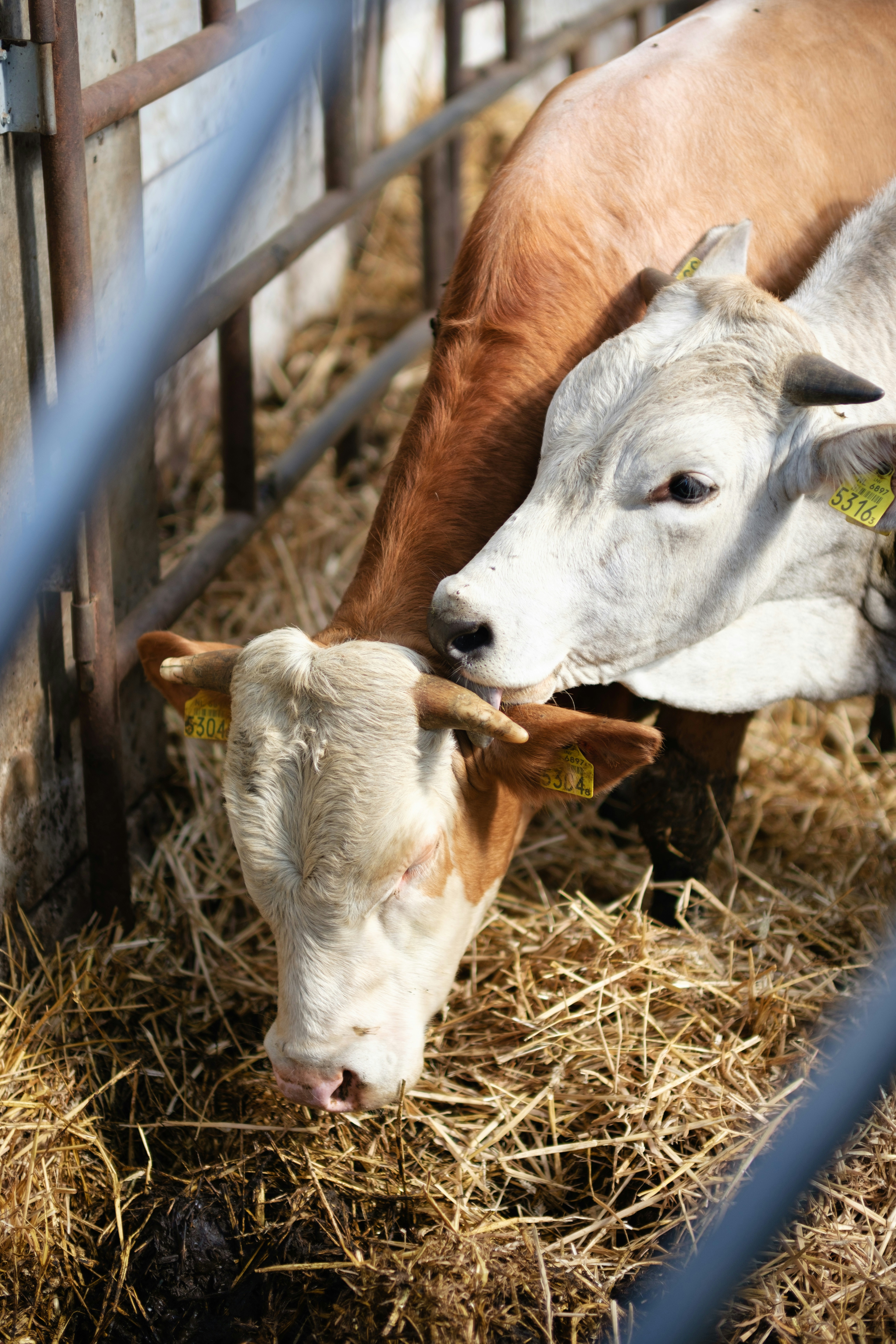 Photo by haberdoedas2