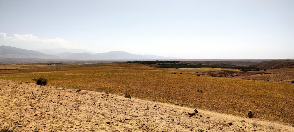 a dirt road in the middle of a desert