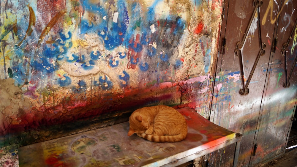 an orange cat sleeping on top of a bench