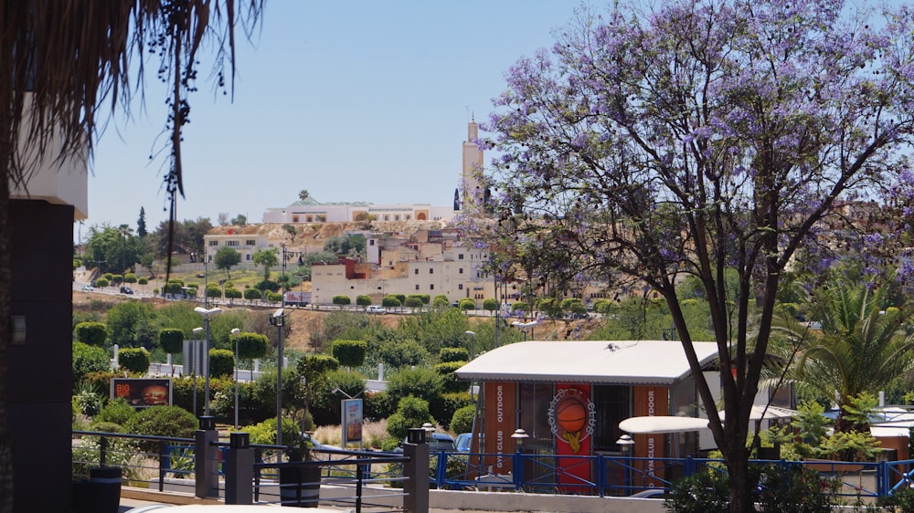 a view of a city with a hill in the background