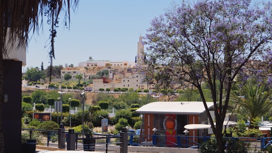 A scenic view of a hillside town featuring a variety of buildings with different architectural styles. In the foreground, a vibrant jacaranda tree with purple flowers stands out, and nearby are a few small huts with advertising signs. Lush greenery and palm trees are visible, complementing the overall picturesque landscape. The clear sky and bright daylight enhance the vividness.