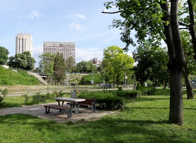 a park with a picnic table and benches