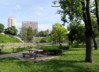A peaceful picnic spot with benches and a backdrop of leafy trees inside the park.