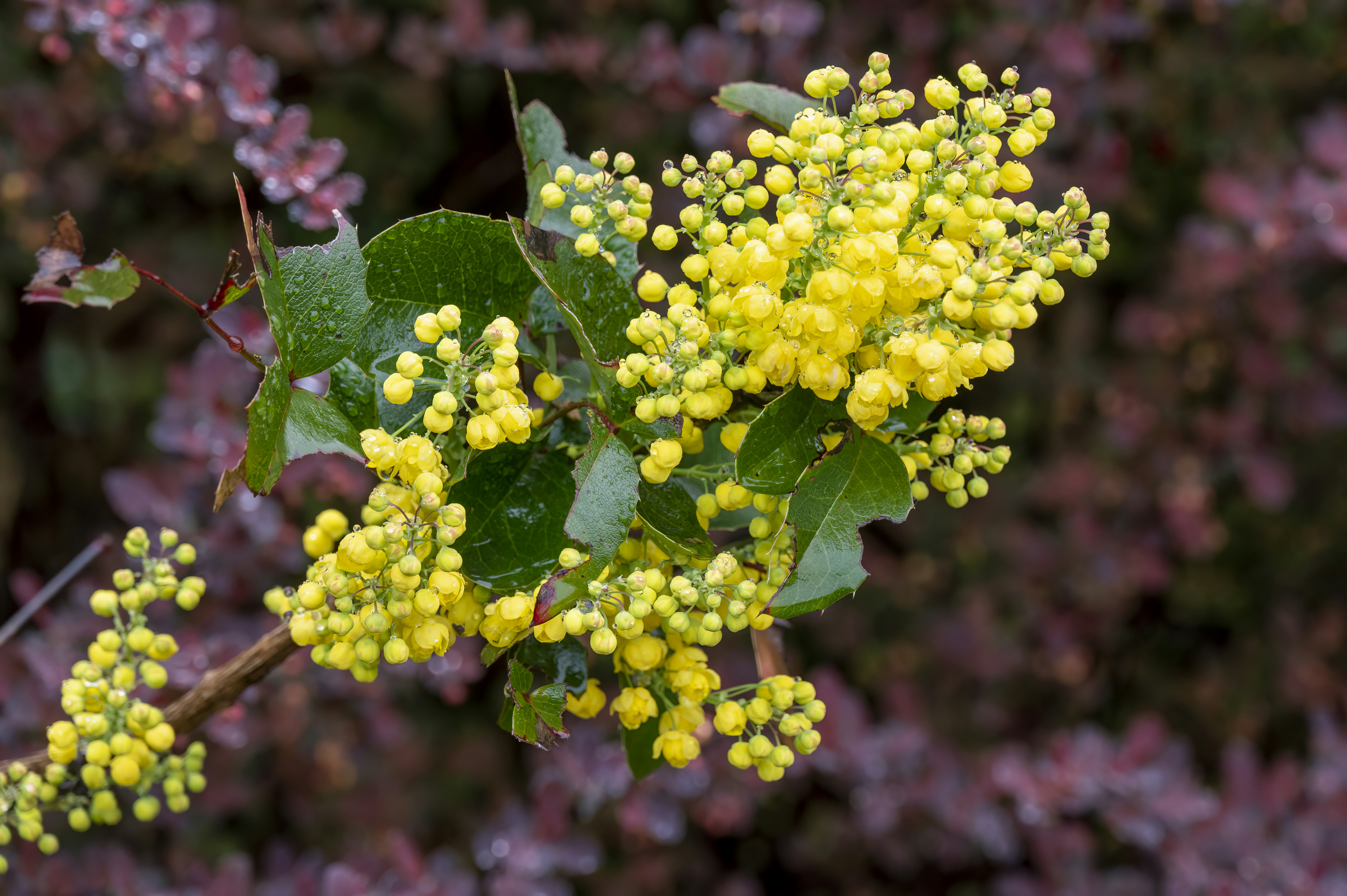 Photo by cholewinski