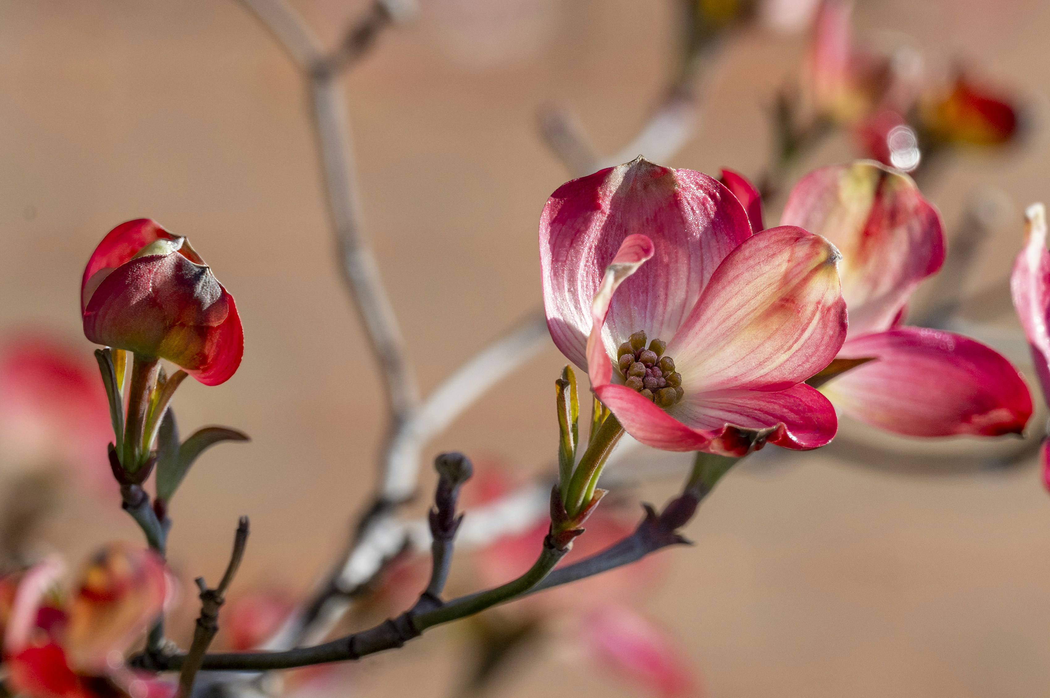 Photo by cholewinski