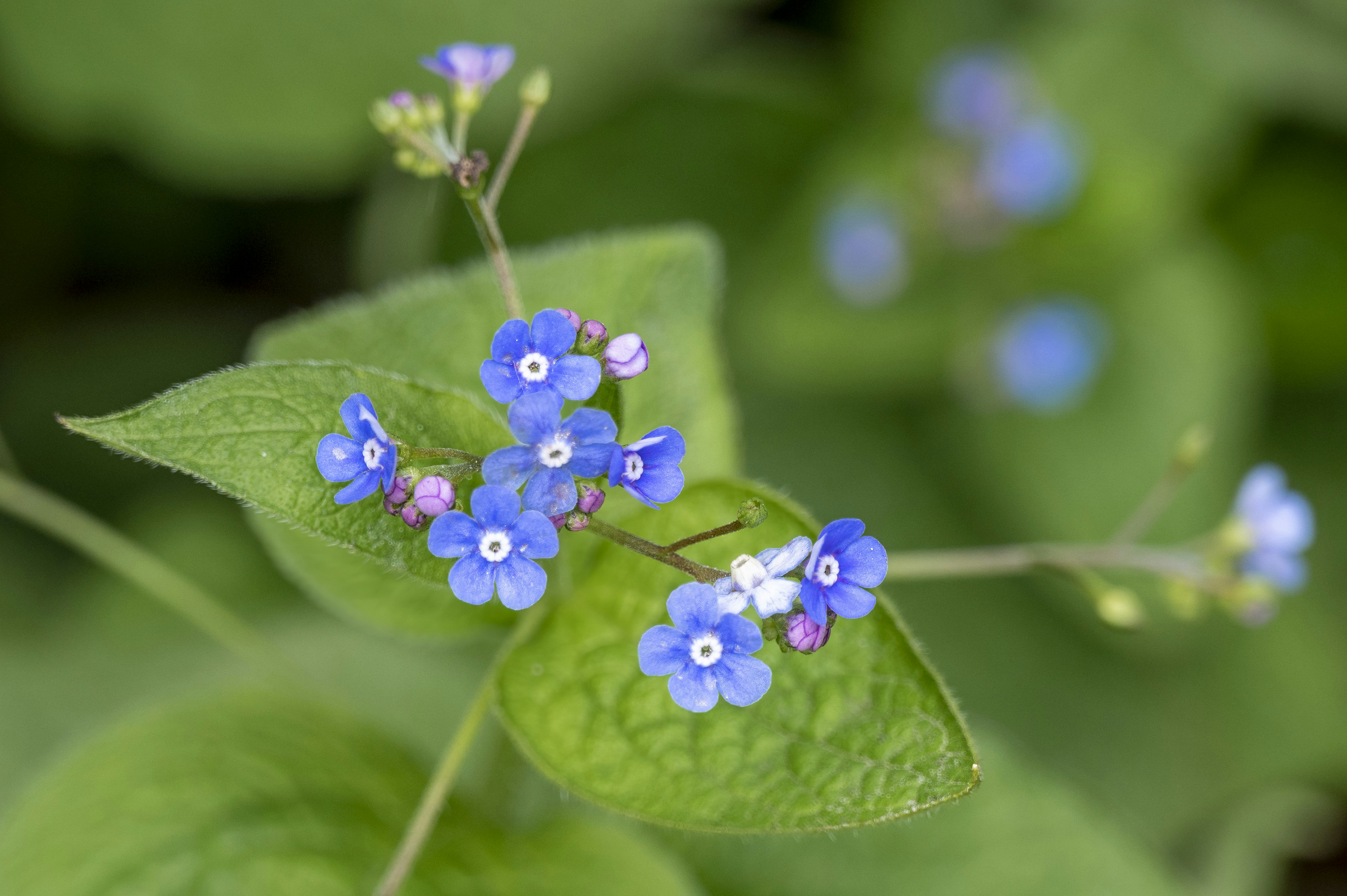 Photo by cholewinski