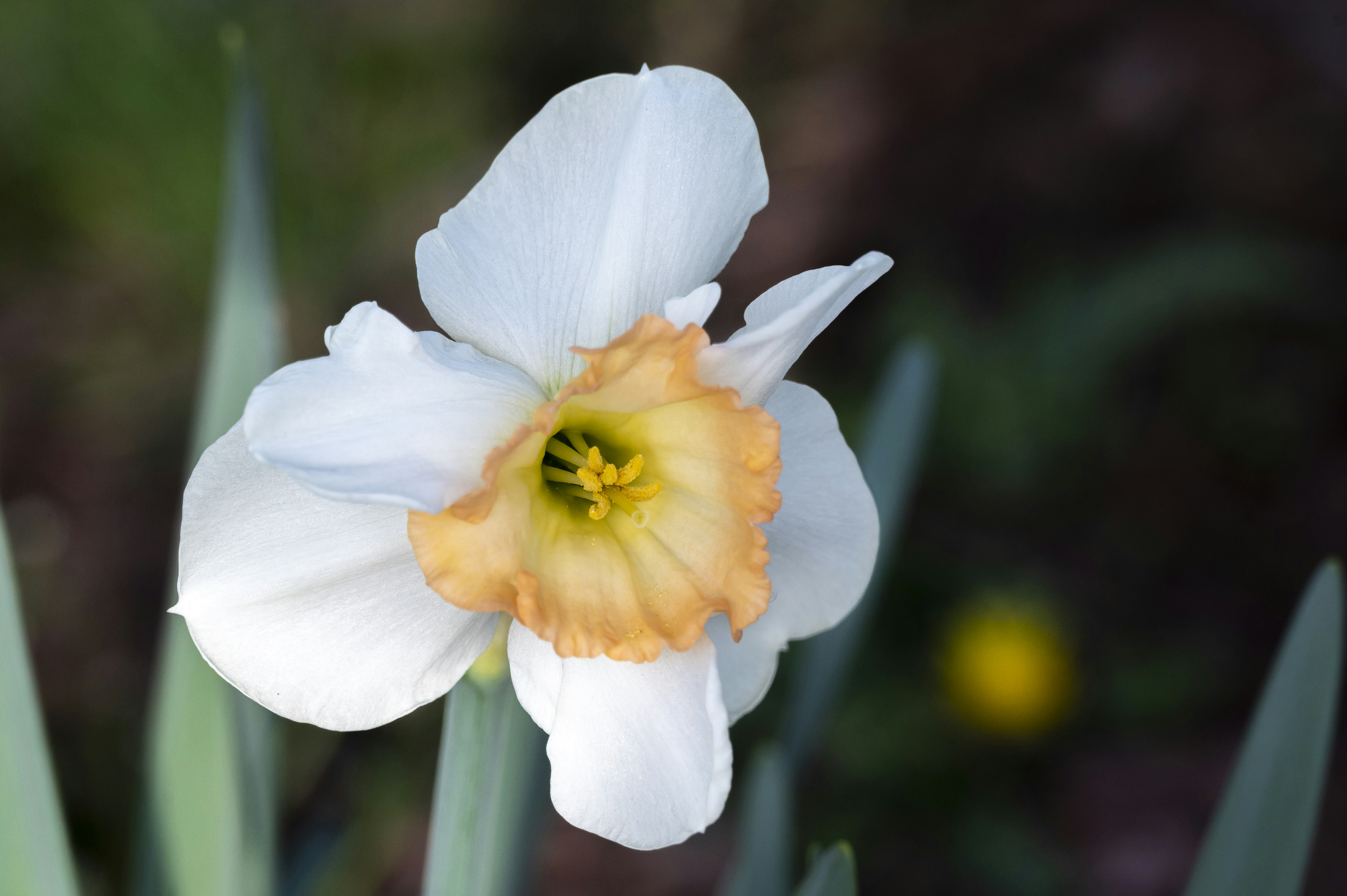 Photo by cholewinski