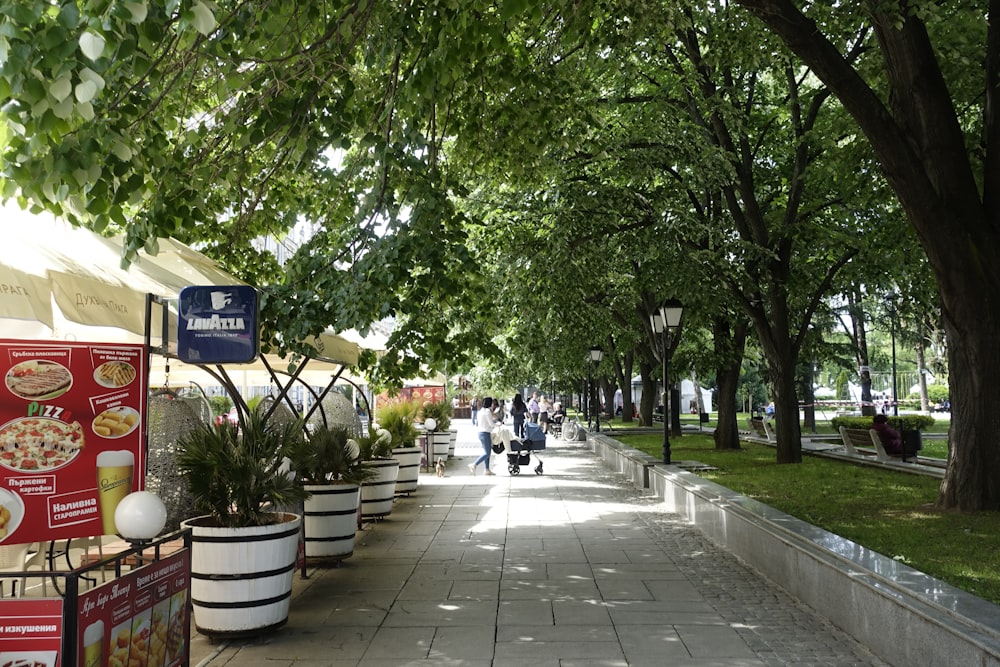 a sidewalk lined with potted plants and trees