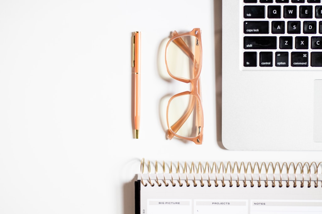 Business Expense Organizer
