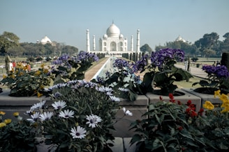 A large white marble mausoleum stands prominently in the background, surrounded by lush gardens and symmetrical water channels. In the foreground, colorful flowers in full bloom add vibrancy to the scene, with purple, white, yellow, and red blossoms.