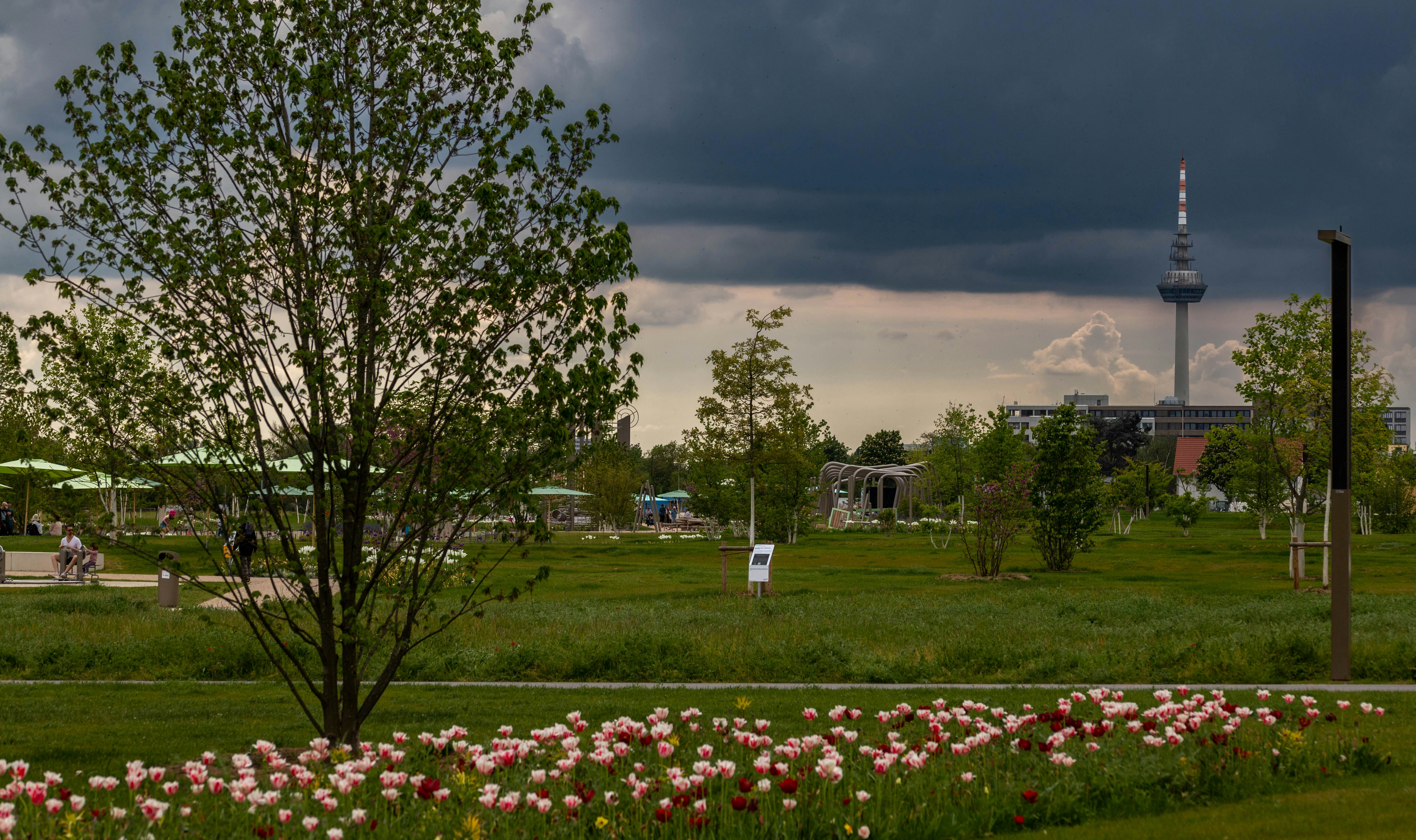 Peace Park