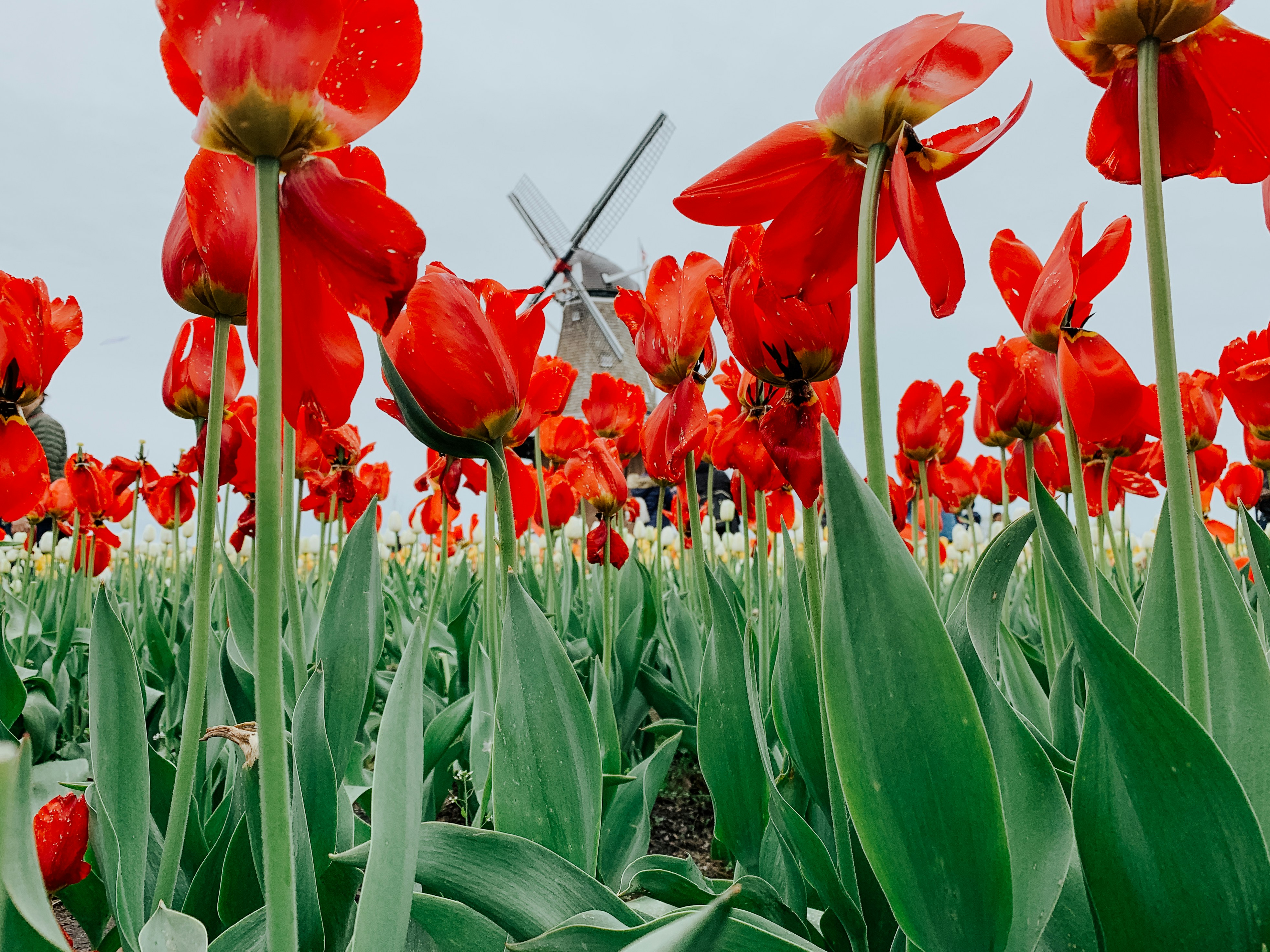 Photo by aryanspixel