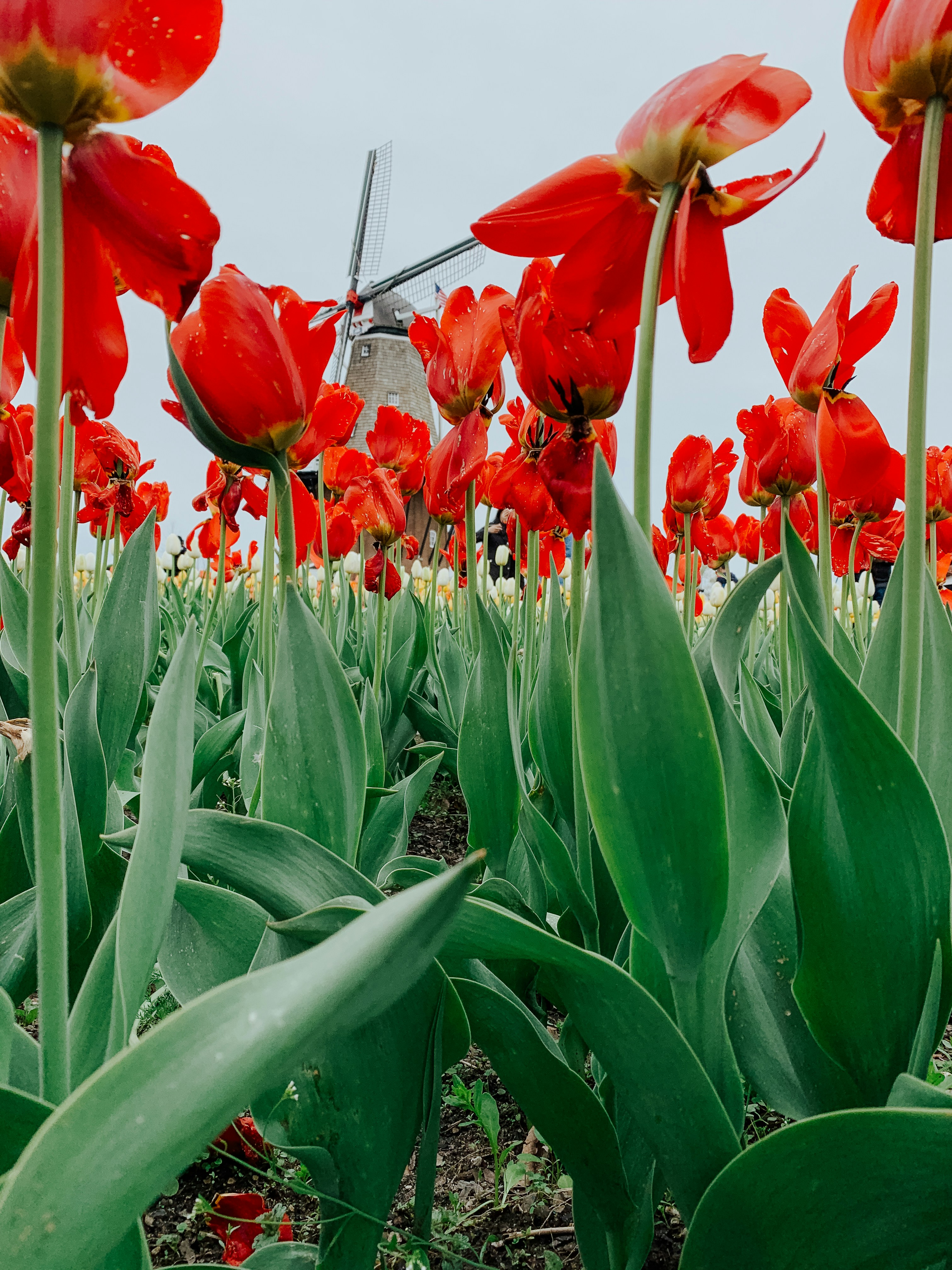 Photo by aryanspixel