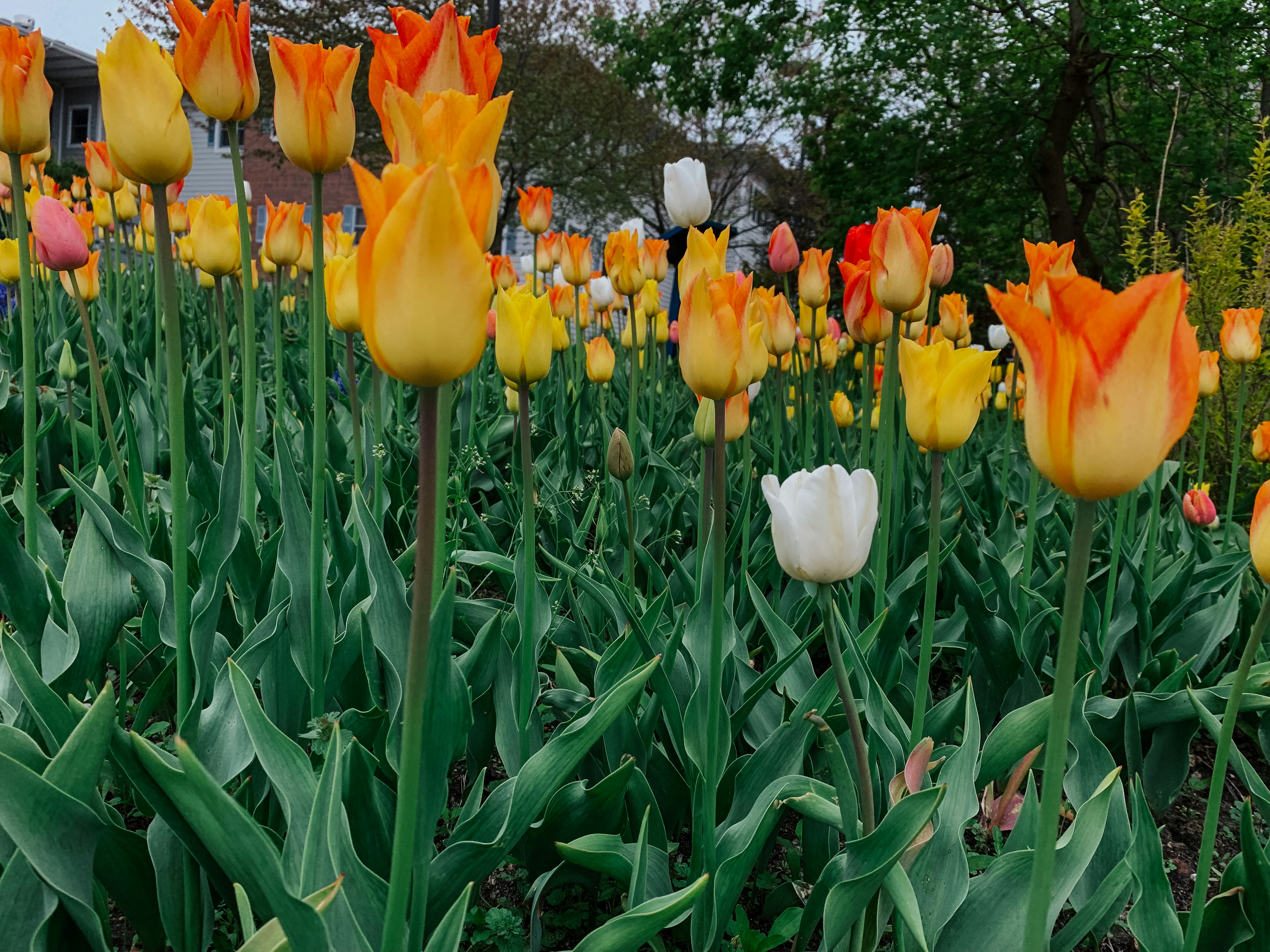 Photo by aryanspixel