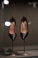A stylish pair of shoes displayed elegantly.