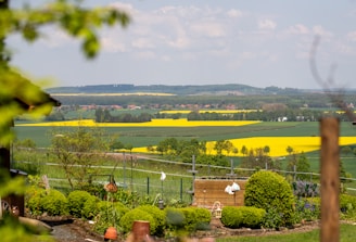 A lush landscape with vibrant yellow and green fields stretching across the horizon. Trees and shrubs are scattered throughout the scene, adding variety and texture. A garden in the foreground is bordered by a fence, with neatly trimmed bushes and quaint outdoor decorations.