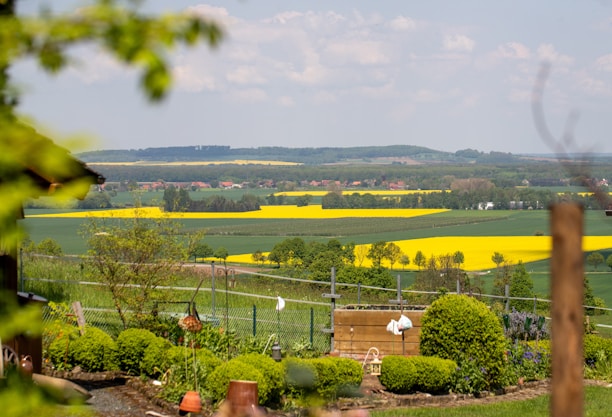 A lush landscape with vibrant yellow and green fields stretching across the horizon. Trees and shrubs are scattered throughout the scene, adding variety and texture. A garden in the foreground is bordered by a fence, with neatly trimmed bushes and quaint outdoor decorations.