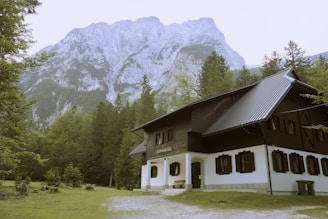 A rustic house with dark wooden and white exterior is situated at the edge of a lush green forest. The background features a towering mountain with rocky cliffs shrouded in light mist. The setting appears serene and secluded, amplifying the natural beauty and tranquility of the surroundings.