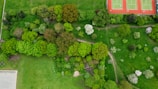 Aerial view of a large park with winding paths and diverse vegetation